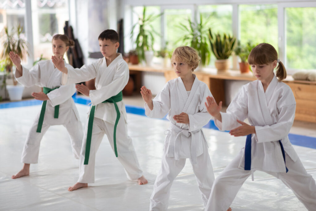 kids martial arts